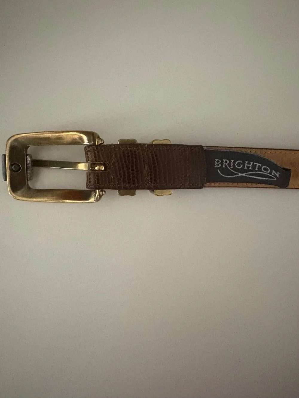 Brighton brown snakeskin